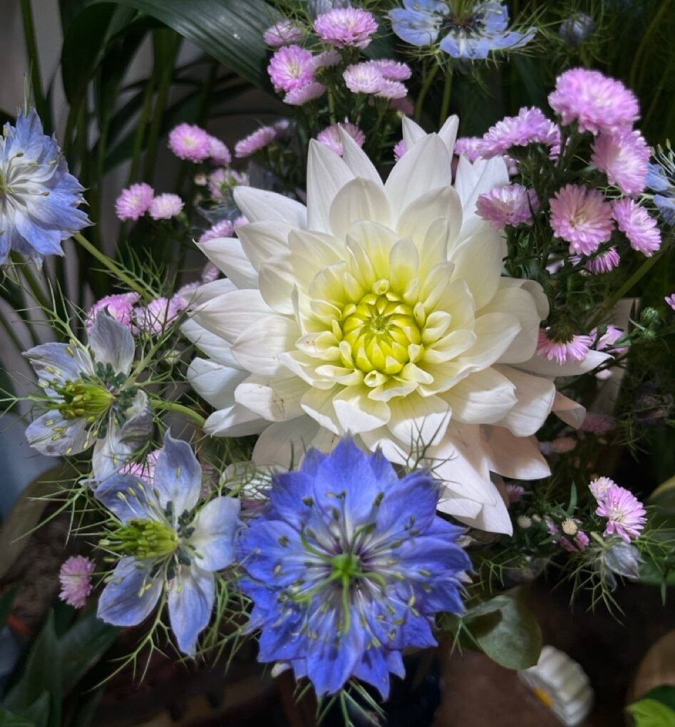 Image Slider