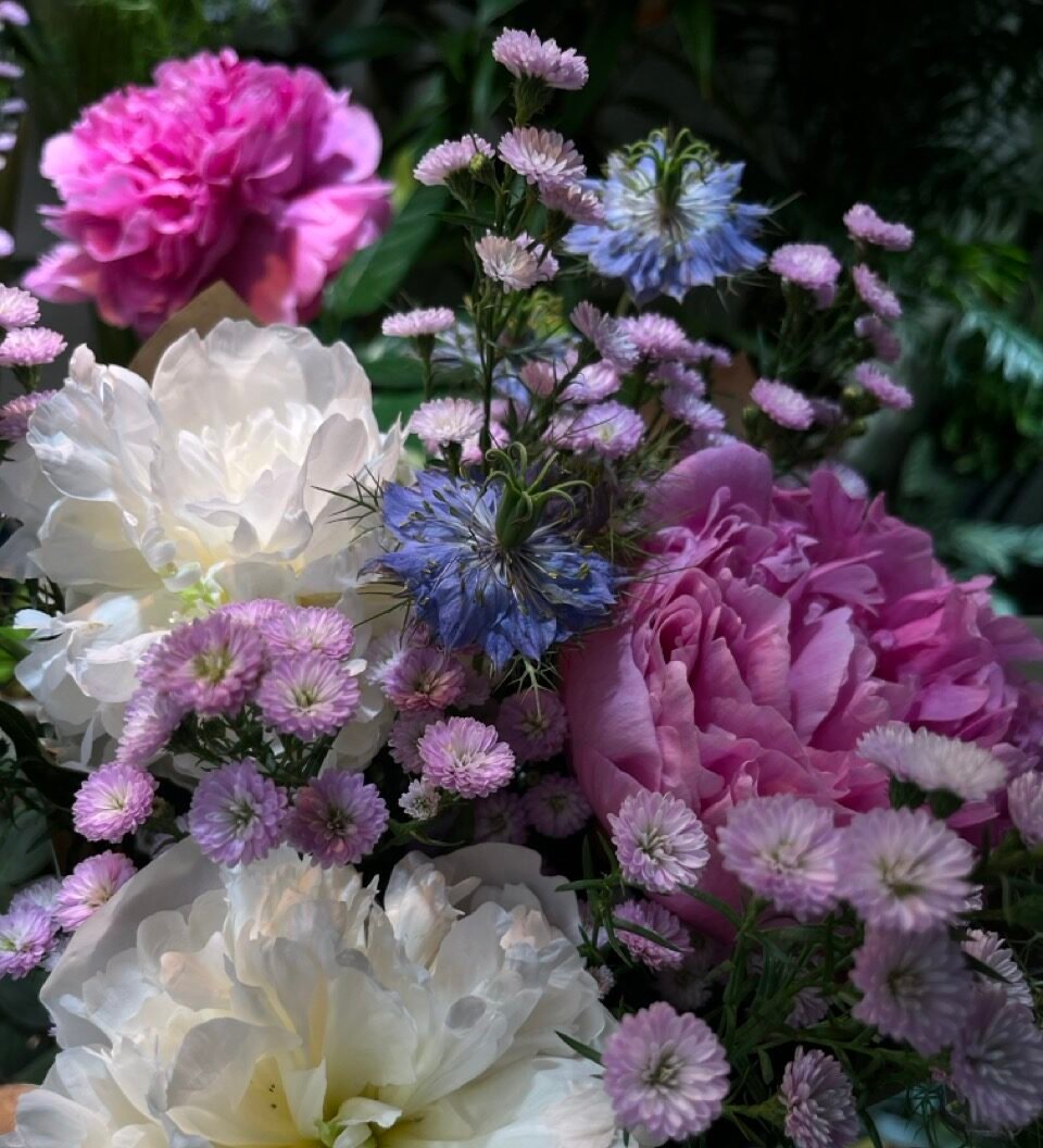 Image Slider